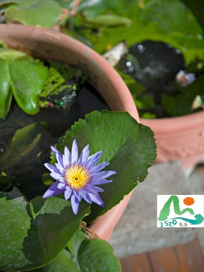 3520 Homestay T'ai-tung Dış mekan fotoğraf